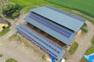 Der Biobote Löschenkohl