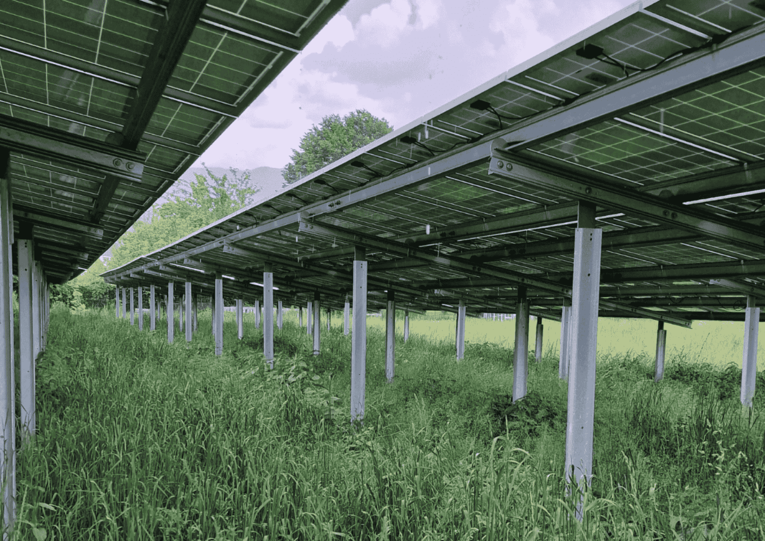 Bild von der Freiwflächenanlage St.Paul