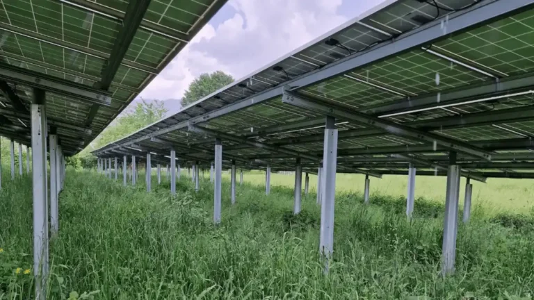 Innovative Agri PV Anlagen beim Freibad St. Paul