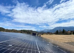 Woody Photovoltaikanlage