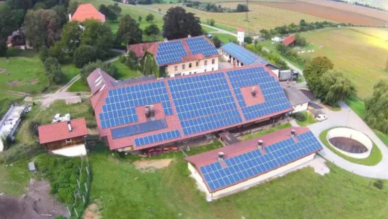 Photovoltaik Dachflächennutzung landwirtschaftliche Gebäude Südausrichtung